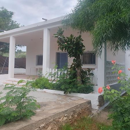 Casa Campo Con Piscina Y Barbacoa Para 6 Personas En Plena Naturaleza Picassent Zewnętrze zdjęcie