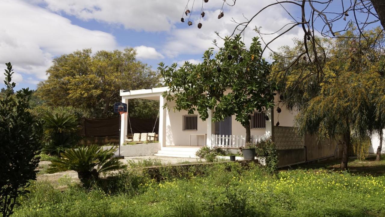 Casa Campo Con Piscina Y Barbacoa Para 6 Personas En Plena Naturaleza Picassent Zewnętrze zdjęcie