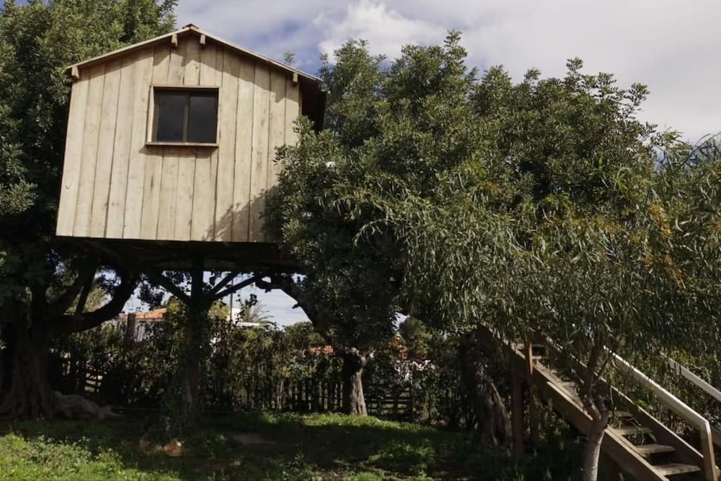 Casa Campo Con Piscina Y Barbacoa Para 6 Personas En Plena Naturaleza Picassent Zewnętrze zdjęcie