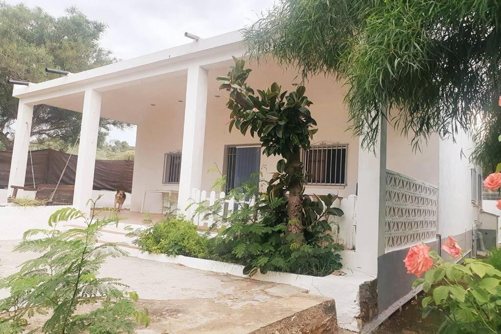 Casa Campo Con Piscina Y Barbacoa Para 6 Personas En Plena Naturaleza Picassent Zewnętrze zdjęcie